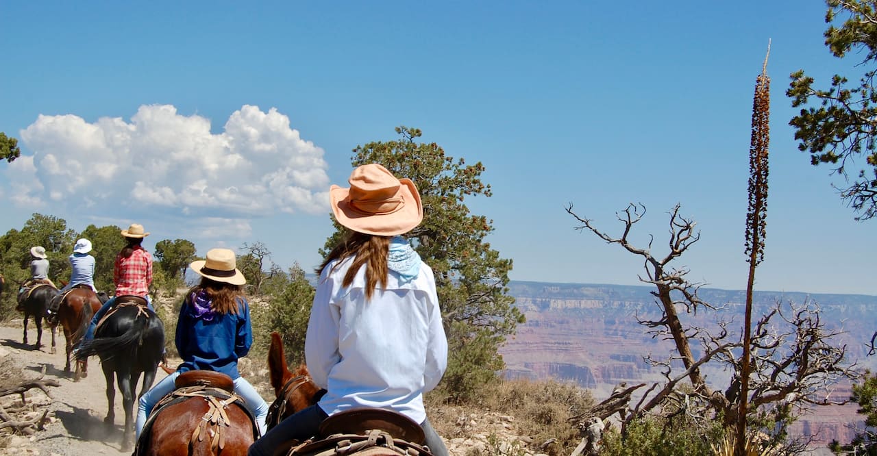A line of people wearing hats and riding horses and donkeys next to the grand canyon