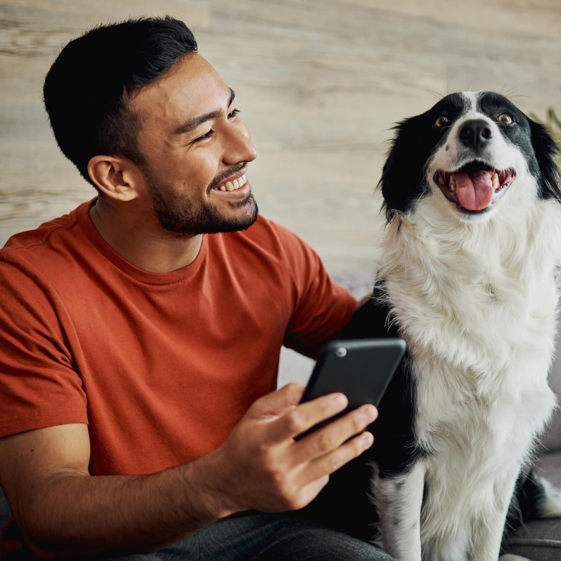 Man in orange t-shirt with phone and black and white dog