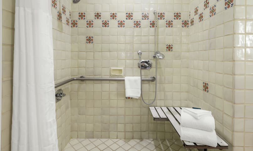 Accessible Queen Guestroom Bathroom-previous-transition